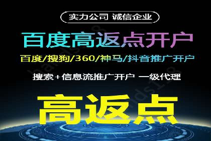 创新引领者：某信息流广告公司的技术突破案例